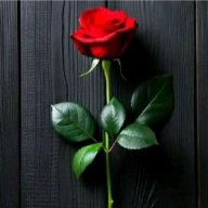 Player_1773439912_932